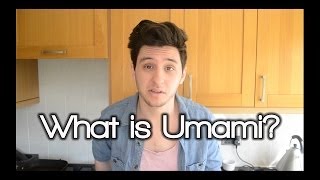 What is Umami [upl. by Filler]