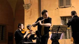 A Vivaldi Largo dallInverno dalle quattro stagioni per Flauto e Orchestra [upl. by Modnar305]