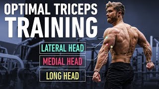 How To Build Huge Triceps with Optimal Training Technique [upl. by Tarrance]