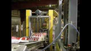 Hamer Fully Automated Bagging System 50 lbs Salt Bags [upl. by Aelam897]