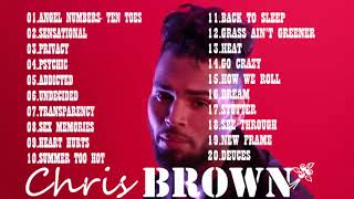 Chris Brown Greatest Full Album 2024 Chris brown Best Songs Playlist 2024 [upl. by Olaf]