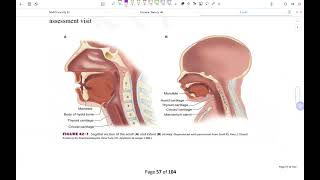 تخدير مرحلة ثالثة مادة التخدير Pediatric Anesthesia p1 [upl. by Nij]