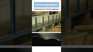 Strömungsrippeln Entstehung Bedeutung [upl. by Sualakcin]