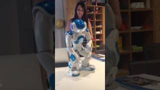 Nao robot introduces himself and blips [upl. by Centeno1]