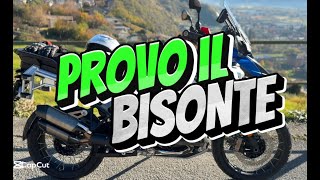 Provo il bisonte il GS 1300 ADV [upl. by Nnybor]