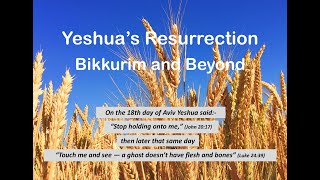 YESHUAS RESURRECTION BIKKURIM AND BEYOND [upl. by Atniuqal196]