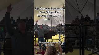 Bonsmara bull sells for 232 000 [upl. by Pepita706]