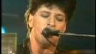 Herman Brood amp His Wild Romance  Tattoosong live [upl. by Warden]