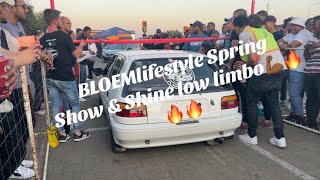 BLOEMlifestyle SHOW amp SHINE Spring Park Off low limbo time🔥🔥🔥 stance static bagged cars fyp [upl. by Kale205]