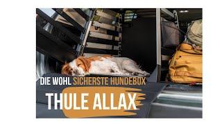 THULE Allax Hundebox die wohl sicherste Hundebox für den Kofferraum [upl. by Ahsimed588]