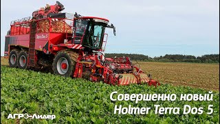 Совершенно новый свеклоуборочный комбайн Holmer Terra Dos 5 [upl. by Mlawsky197]