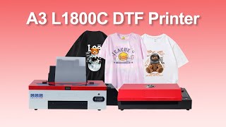 EPSON A3 L1800 DTF Printer [upl. by Hendrickson390]