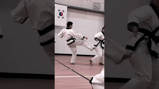 Tang Soo Do Soo Bahk Do Karate Sparring drill kumite moodukkwan tkd partnership [upl. by Dudley]