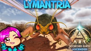 EASY WAY TO TAME A LYMANTRIA  SCORCHED EARTH  Ark Survival Ascended [upl. by Nywnorb]