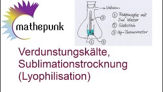 Verdunstungskälte Sublimationstrocknung Lyophilisation Experiment [upl. by Binnings]