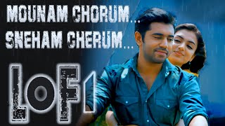 Mounam Chorum Neram lofi flip song  Ohm Shanthi Oshaana  lofi malayalam [upl. by Pontias599]