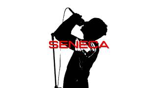 Schibat  SENECA OFFICIAL VIDEO [upl. by Nbi]