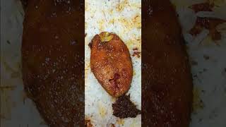 Fish biryani shortvideo biryanirecipecooking subscribemychannel subscr [upl. by Marcie]