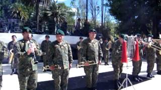 Penachos Rojos  Banda Instrumental del Regimiento N° 8 Tucapel de Temuco [upl. by Lraed]