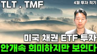 미국 장기채권 TLT TMF전망 단기 상승이후 4월부터 기회입니다 시장의 흑백정보에 속지마세요 [upl. by Nnairrek831]