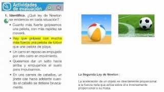 Leyes de Newton  Actividades de evaluacion pag 73 [upl. by Garvin]