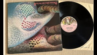 STRING DRIVEN THING  FOLK PROG ROCK UK 1973 [upl. by Genesia246]