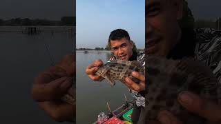 Mancing kerapu pakai tegek [upl. by Abdel]