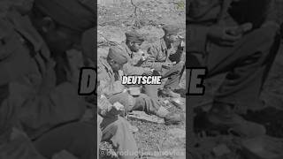 Was russische Soldaten mit hungrigen Deutschen machten history facts shorts bproductions [upl. by Yntrok]