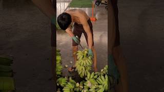 Thailands amazing banana cutting master [upl. by Ynettirb618]