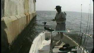 Worlds Greatest Rockfishing Video [upl. by Bab]