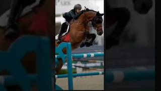 Showjumping edit horses showjumping viral fypシ゚viral shorts [upl. by Mazel156]