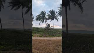 AMANHECER  Intermares  Cabedelo PB youtubeshorts praia paraiba beach nordeste shorts [upl. by Zzaj]