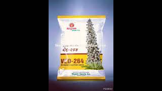 Hybrid Castor Seed Ved264 and GCH7 [upl. by Conti893]