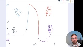 HBS 222 The Secret to Signals Action Potential Electrical Graph [upl. by Ecnahs]