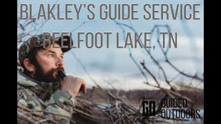 REELFOOT LAKE DUCK HUNTING WITH BLAKLEYS GUIDE SERVICE [upl. by Norry]