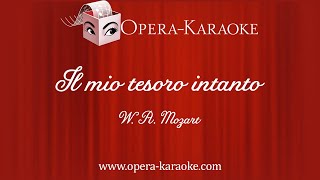 Il mio tesoro intanto Karaoke Accompaniment [upl. by Seessel]