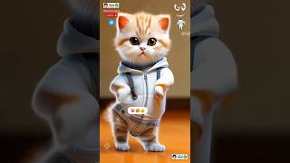 Cat dance Cute kitten ❤️‍🩹 catlovecats cats catvideos kittenscatlover princesscat kitten [upl. by Werdn]