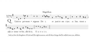 Magnificat Antiphon quotQuaerite primumquot for Vespers 14th Sunday after Pentecost [upl. by Draned]