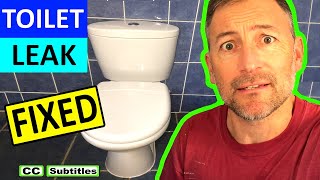 How to fix a leaking toilet cistern with dual push buttonsToilet cistern still running after flush [upl. by Amr343]