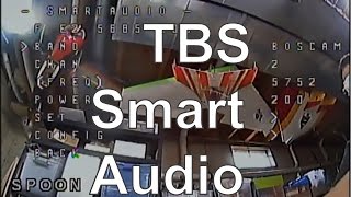 TBS Smart Audio Setup Betaflight OSD [upl. by Aehs873]