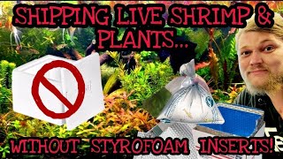 How to Ship Live Fish Shrimp amp Plants in the Mail Quick amp Easy How to Shipping Guide [upl. by Eiralam507]