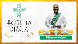 Homilia Diária  23 de outubro de 2024 [upl. by Iorgo]