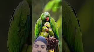 maa love song short viralvideo subscribe [upl. by Nylesaj]