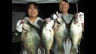 Lake Berryessa Crappies Catch and Release [upl. by Poppo]