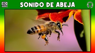 SONIDO DE ABEJA 🐝 [upl. by Nosyarg989]