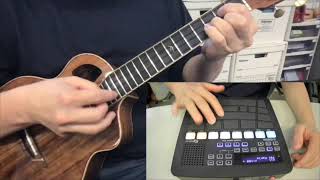 The Beatles quotOb La Di Ob La Daquot ukulele  fingerdrum FGDP50 [upl. by Halyk]