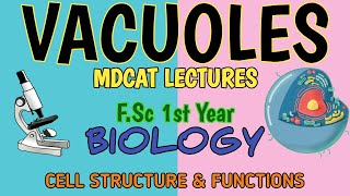 Vacuoles  Structure and Functions  Different types of Vacuoles  FSCMDCAT Biology Lectures [upl. by Barris]