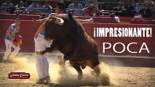 EMOCIONANTE CONCURSO DE RECORTES VALENCIA 2017 GRAN FINAL [upl. by Cadal]