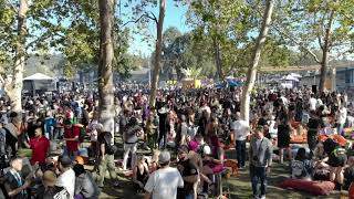 Thousands set world record at cannabis festival in Santa Rosa [upl. by Odradlig]