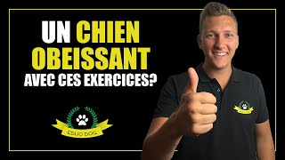 Dressage chien  4 exercices pour rendre un chien obéissant et focus [upl. by Dowd]